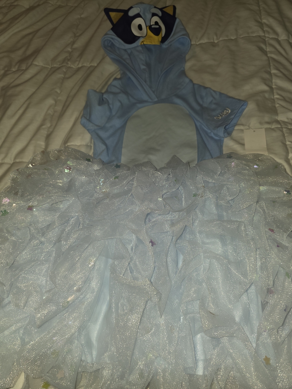 Light Blue Ruffle Tulle Kids Dress with Character Hood